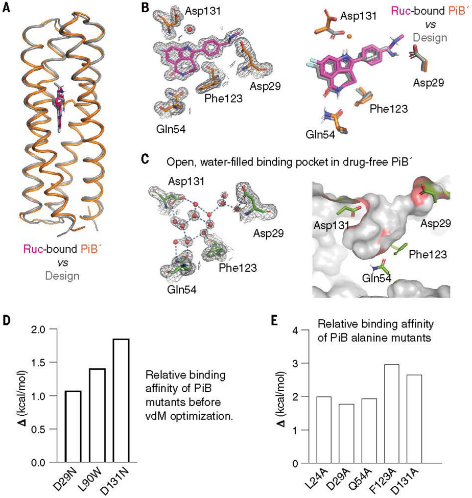 Fig. 4.