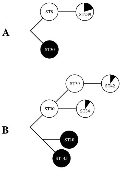 FIG. 1.