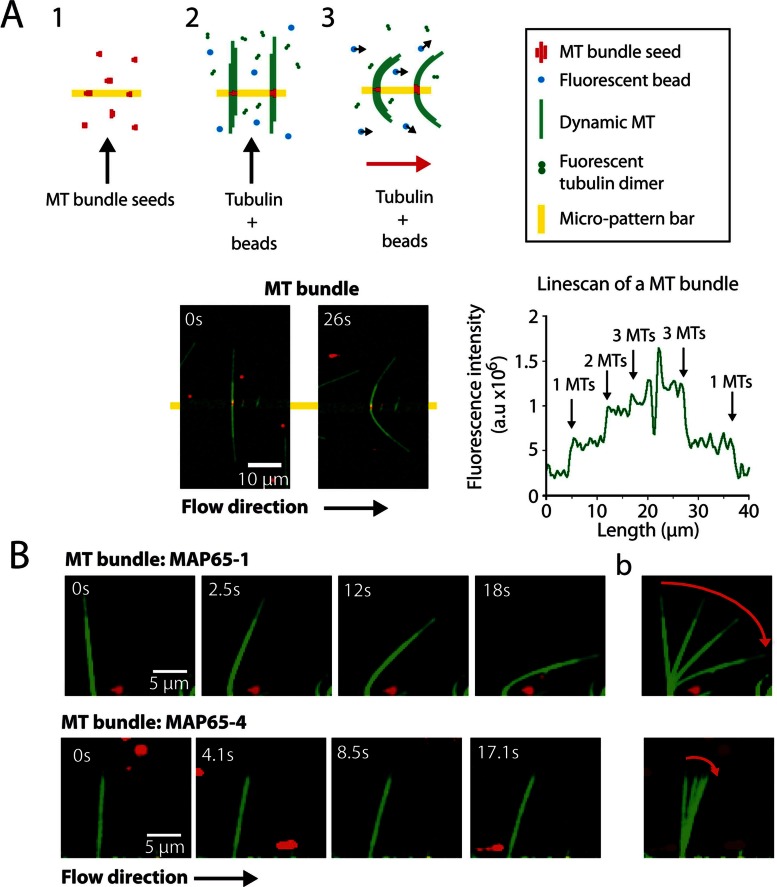 FIGURE 3: