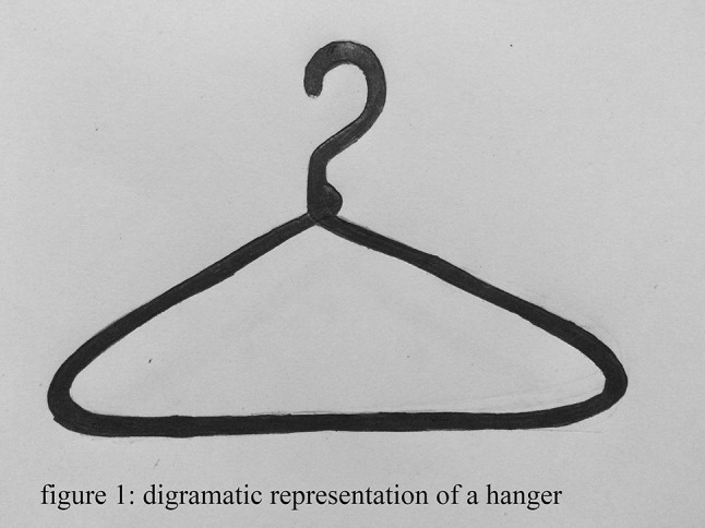 Fig. 1
