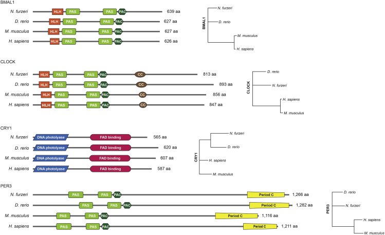 Figure 2