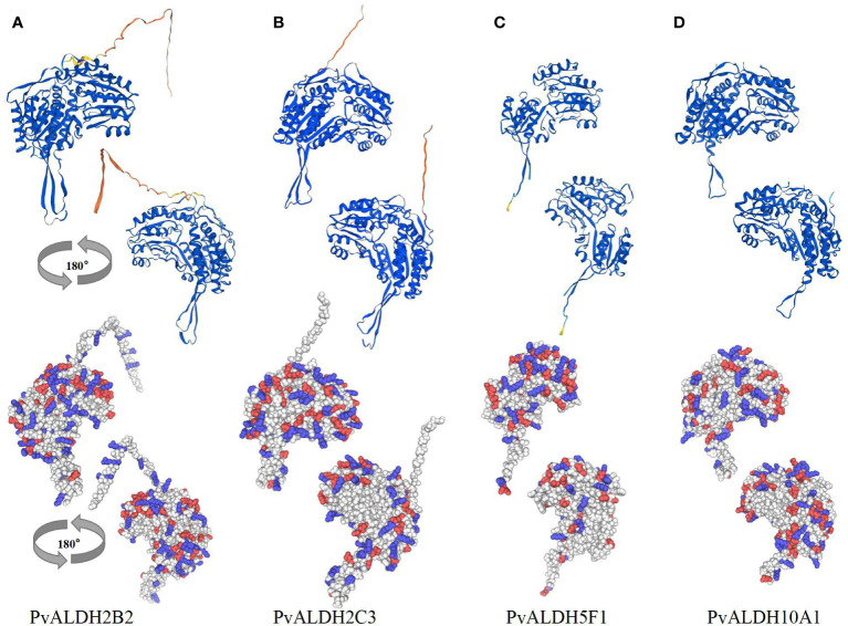 Figure 12