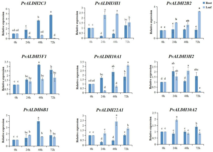 Figure 11