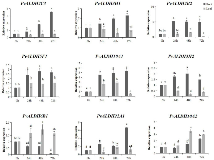 Figure 10