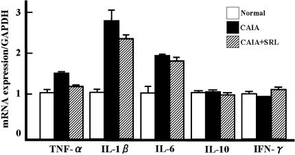 Fig. 5