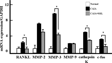 Fig. 6