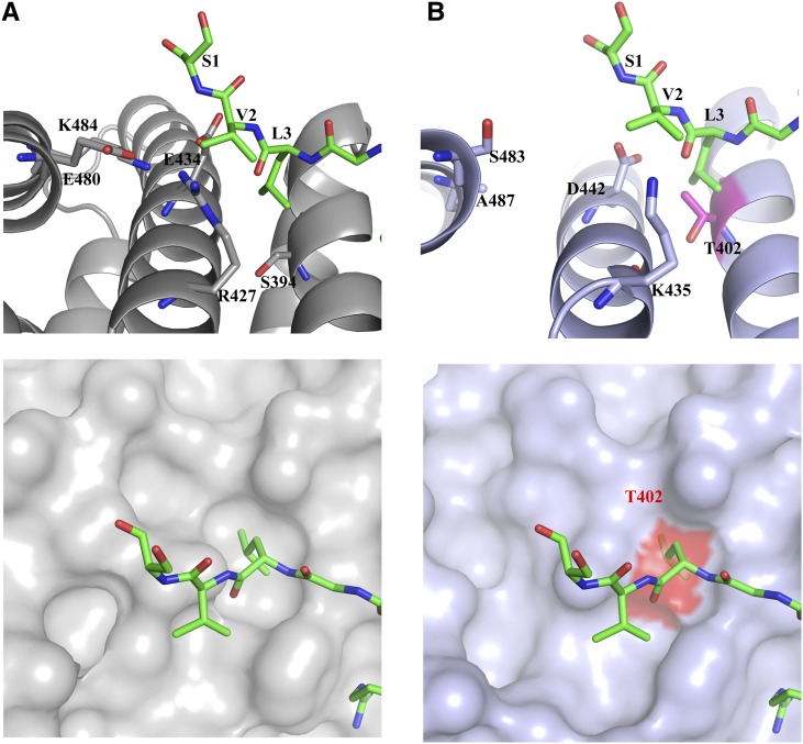 Figure 6.