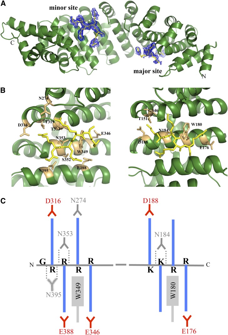 Figure 1.