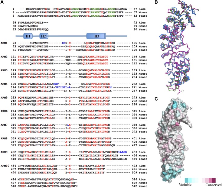 Figure 2.