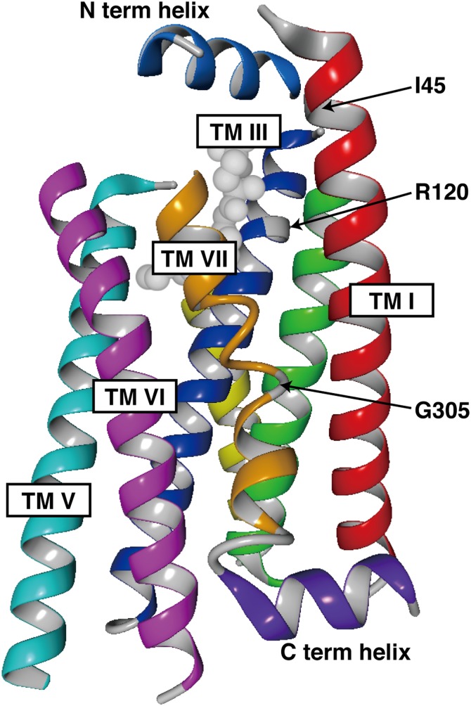 Fig. 7.