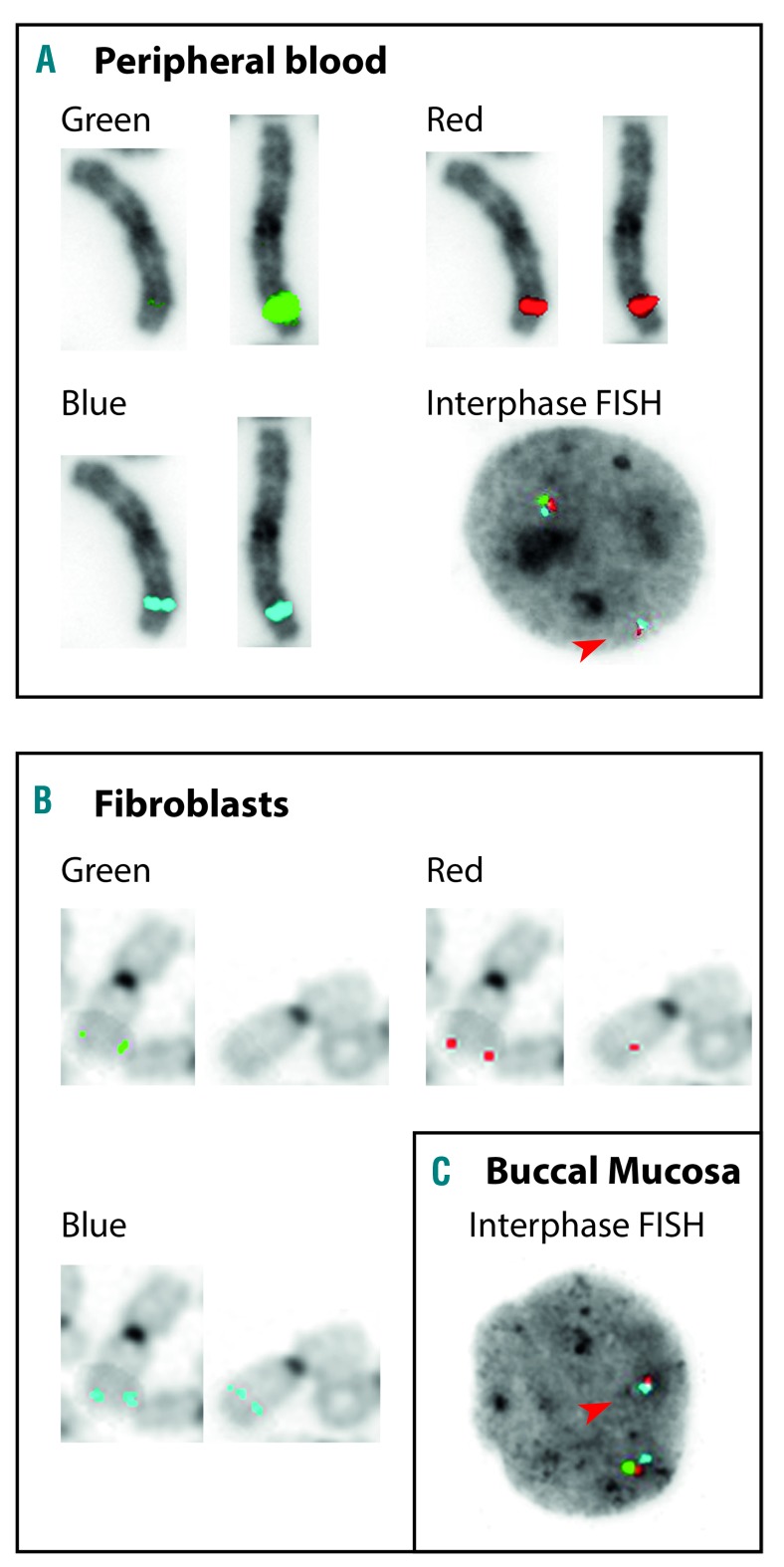 Figure 3.