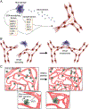 Fig. 1 –