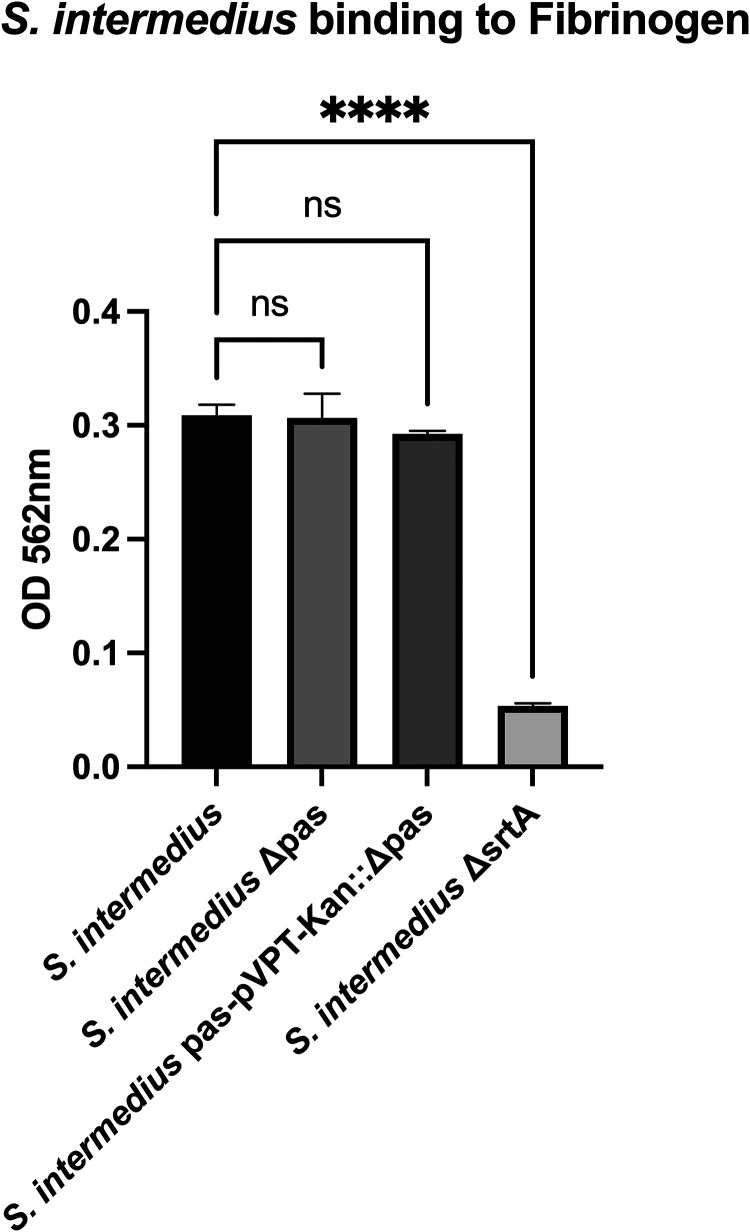 FIG 4