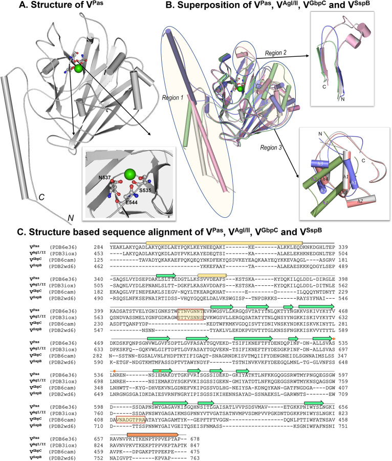 FIG 2