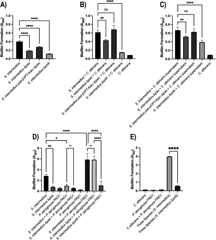 FIG 6