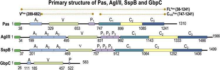 FIG 1