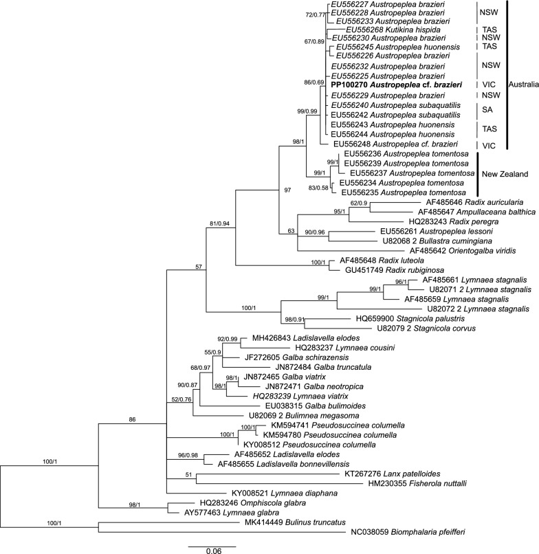 Fig. 4