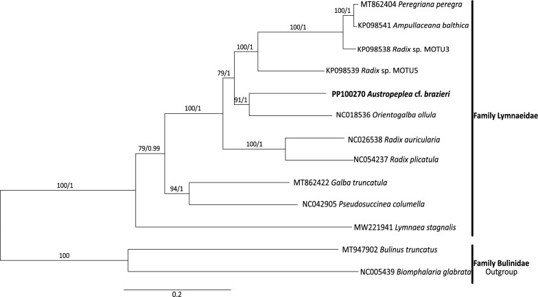 Fig. 3