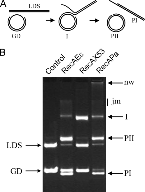 FIG. 3.