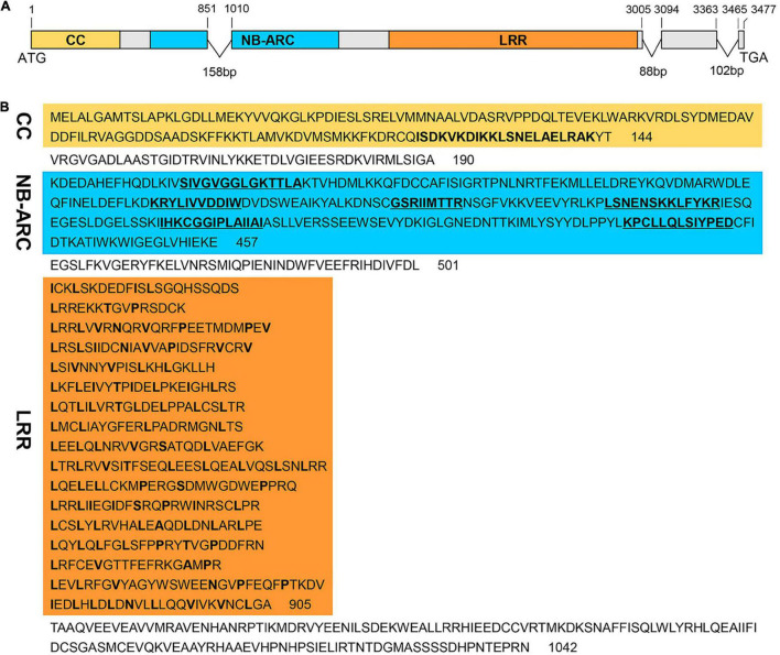 FIGURE 2