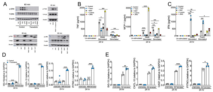 Fig 4: