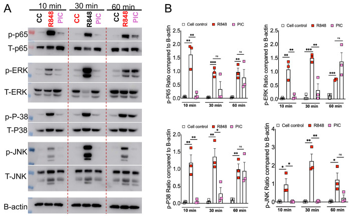 Fig 3: