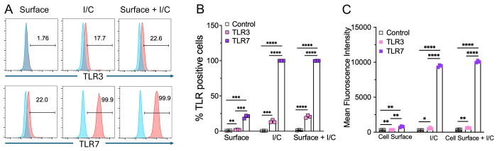 Fig 2: