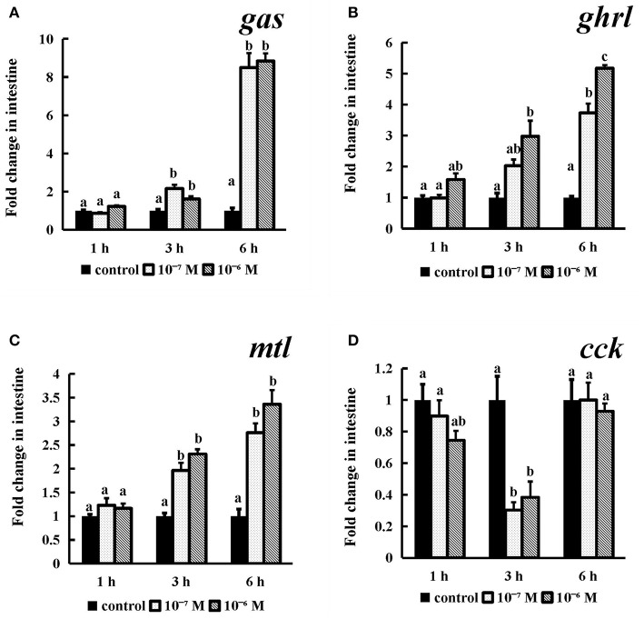 Figure 9