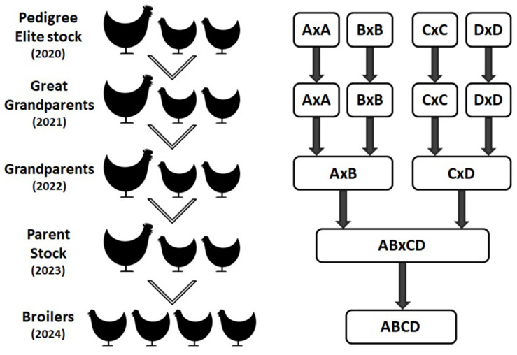 FIGURE 3