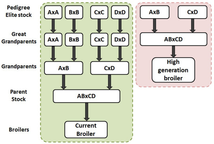 FIGURE 4