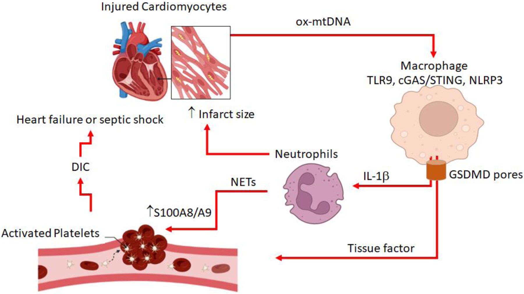 Figure 1: