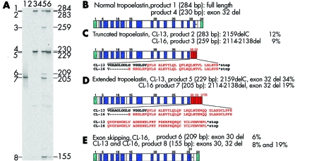 graphic file with name mg34157.f3.jpg