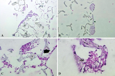 Fig. 1A–D