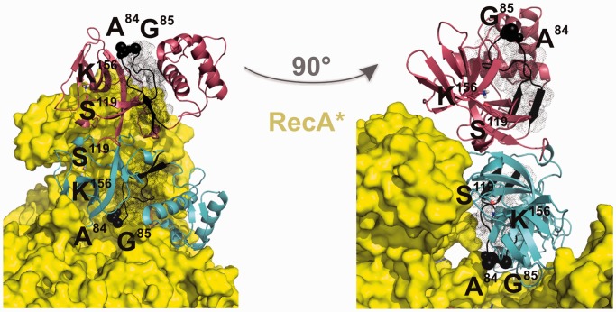 Figure 4.