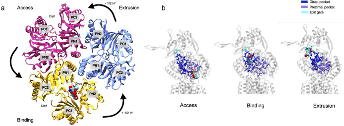 Figure 3.