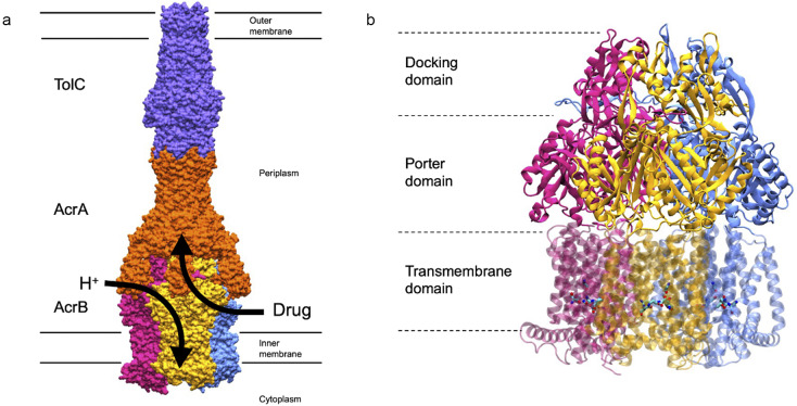 Figure 1.