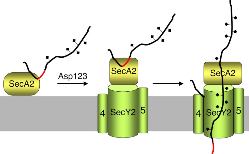 FIGURE 9.