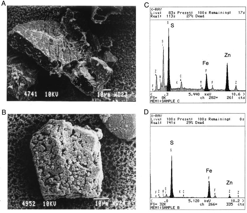 FIG. 5