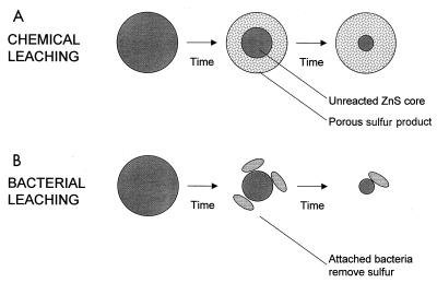 FIG. 7