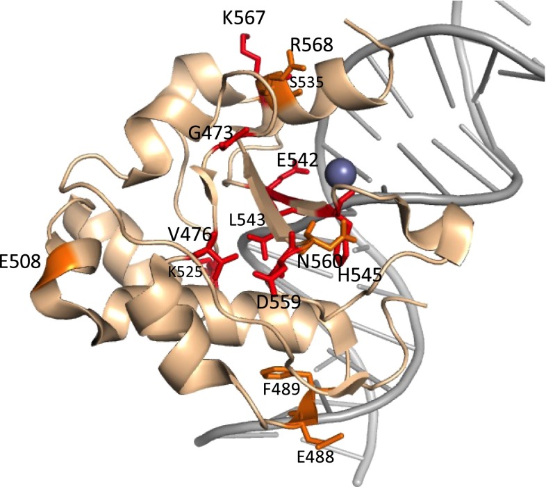 Fig. 3