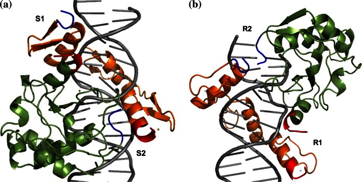 Fig. 1