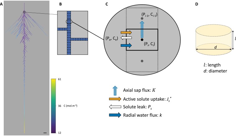 Fig. 1.