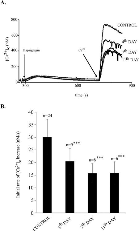 FIG. 6.