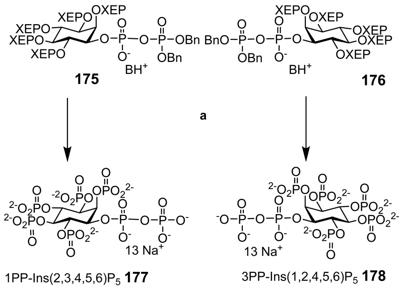 Scheme 22