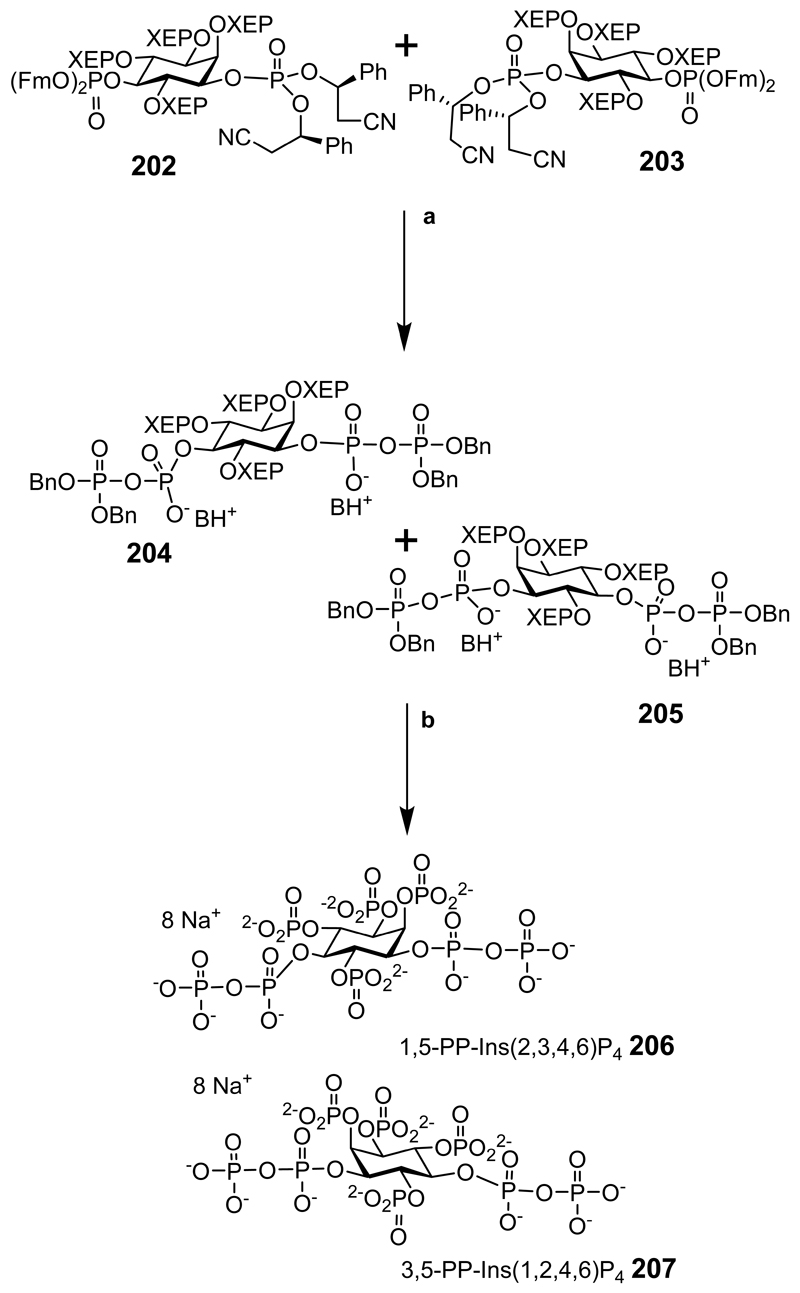 Scheme 27