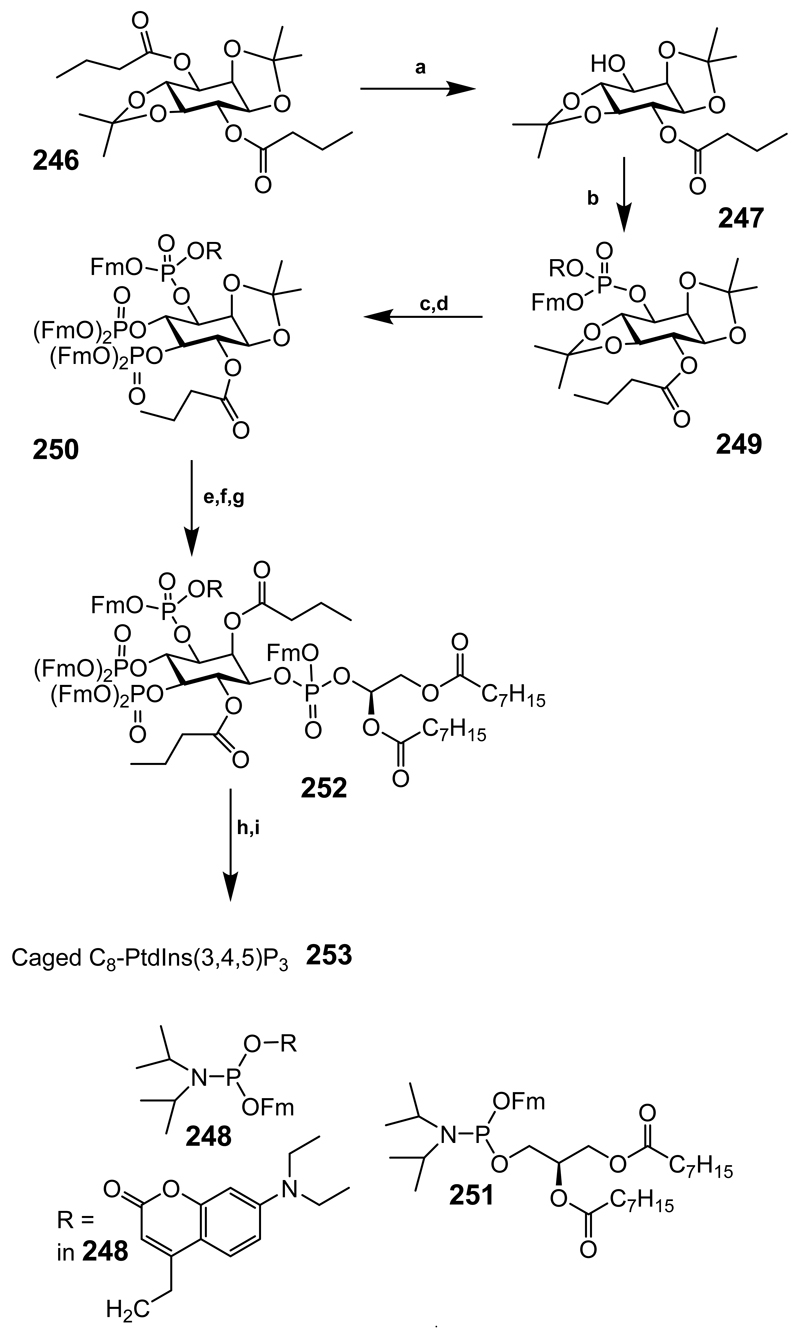 Scheme 33