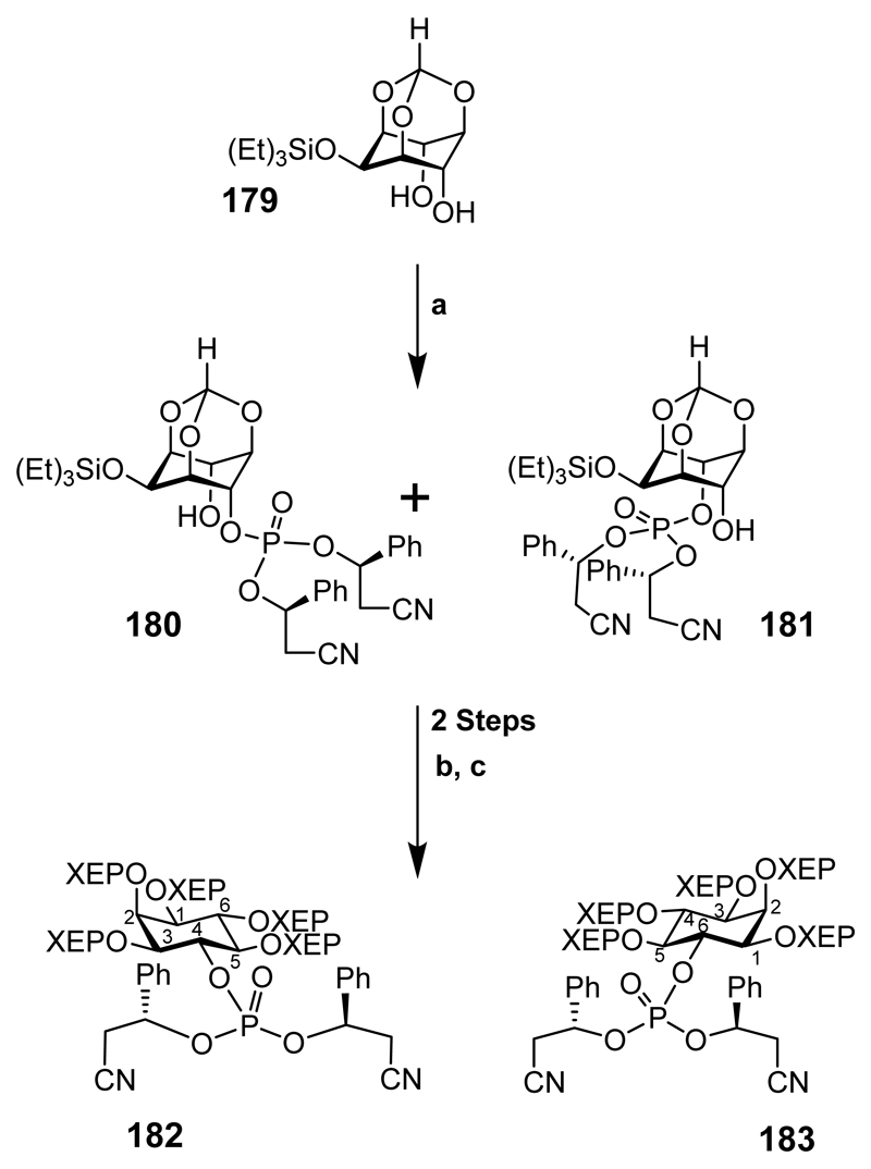 Scheme 23