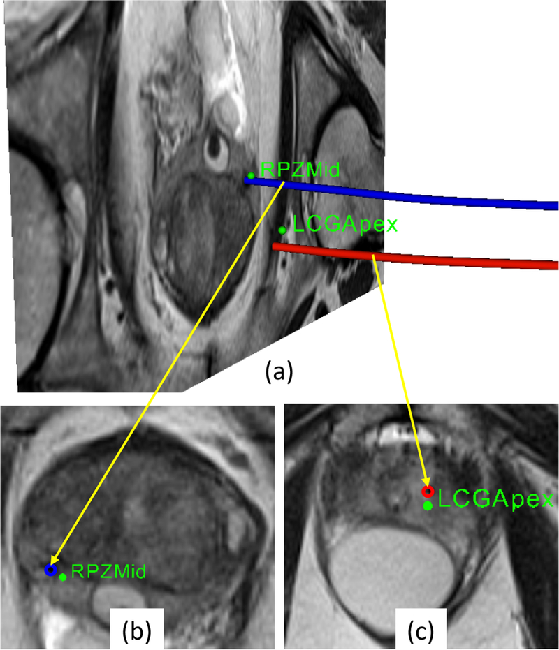 Fig. 10.