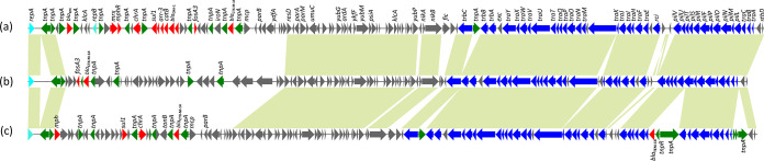 FIG 2