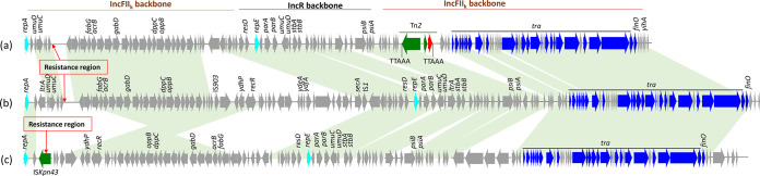 FIG 3